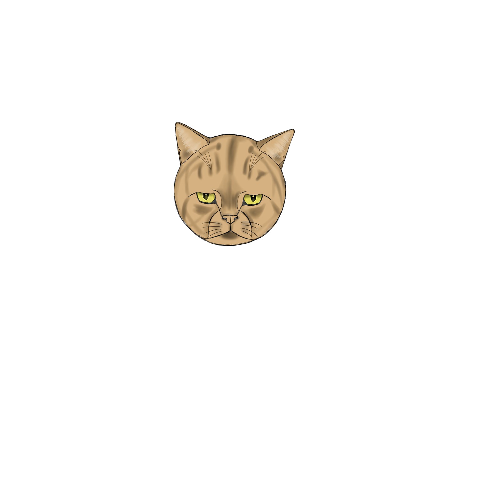 白い背景に、黄緑色の目でこちらをまっすぐ見つめる茶色い縞模様の猫の顔